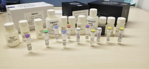 真固生物結(jié)直腸癌伴隨診斷產(chǎn)品多中心千人臨床試驗(yàn)結(jié)果發(fā)布