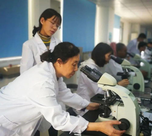 我的專業(yè) 生物工程專業(yè)介紹