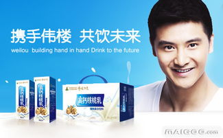 偉樓品牌 品牌介紹