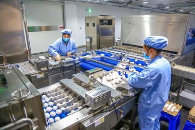 全國人大代表、華蘭生物董事長安康再發(fā)聲:研發(fā)不會缺席,會生產(chǎn)出新型疫苗