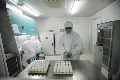 甲型H1N1流感疫苗開始在我國批量生產(chǎn)