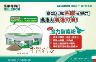 訓賽前最后一餐投食技巧