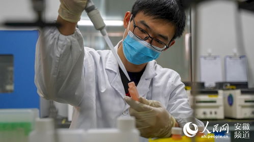 創(chuàng)新高地正在崛起 安醫(yī)大為何選擇了肥西縣