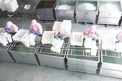 項目建設(shè)快馬加鞭