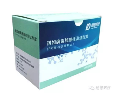 湖北朗德醫(yī)療科技--國(guó)內(nèi)生物制品研發(fā)、產(chǎn)學(xué)研結(jié)合、科研成果轉(zhuǎn)化為一體的高新技術(shù)企業(yè)