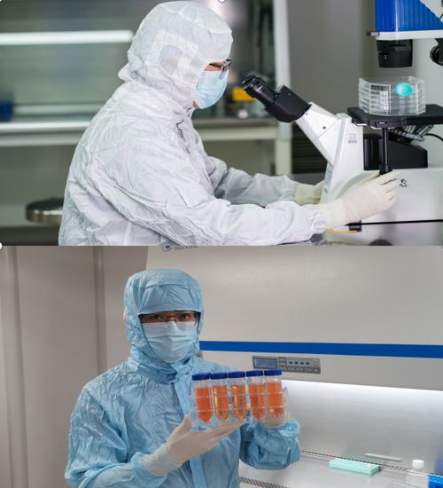 中國人保為煙臺旭智生物承保產(chǎn)品責(zé)任險,為消費者保駕護(hù)航