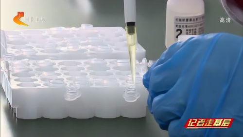 禾柏生物 加快研發(fā) 提速診斷 多種產(chǎn)品助力疫情防控