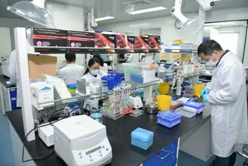 新藥研發(fā) 病毒檢測 你最關注的,國投投資的醫(yī)藥類企業(yè)都在助力